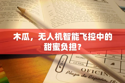 木瓜，无人机智能飞控中的甜蜜负担？