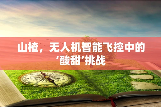 山楂，无人机智能飞控中的‘酸甜’挑战