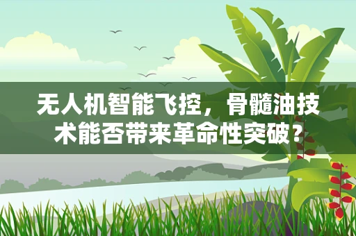 无人机智能飞控，骨髓油技术能否带来革命性突破？