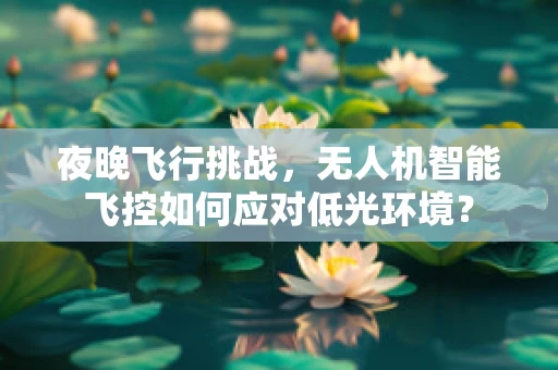 夜晚飞行挑战，无人机智能飞控如何应对低光环境？