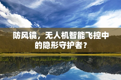 防风镜，无人机智能飞控中的隐形守护者？