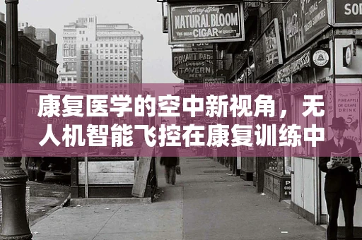 康复医学的空中新视角，无人机智能飞控在康复训练中的应用与挑战