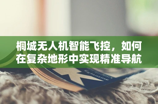 桐城无人机智能飞控，如何在复杂地形中实现精准导航？