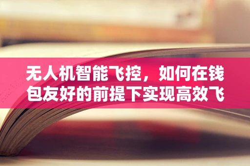 无人机智能飞控，如何在钱包友好的前提下实现高效飞行？