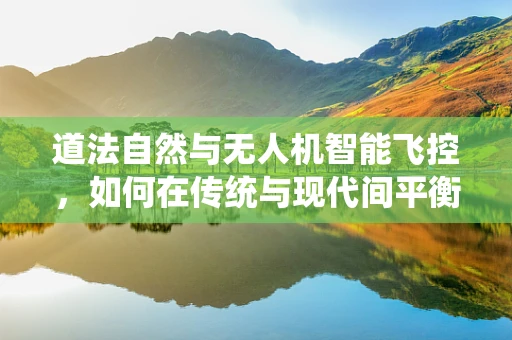 道法自然与无人机智能飞控，如何在传统与现代间平衡飞行安全？