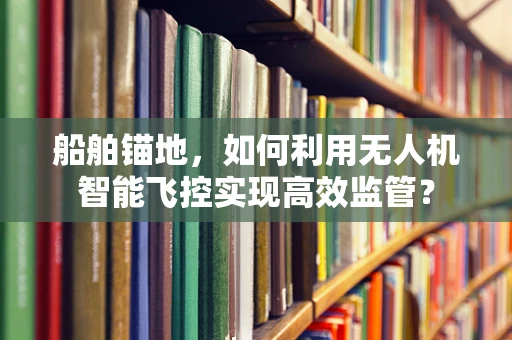 船舶锚地，如何利用无人机智能飞控实现高效监管？