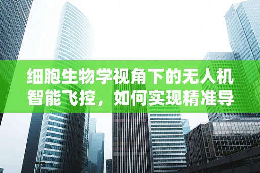 细胞生物学视角下的无人机智能飞控，如何实现精准导航与避障？
