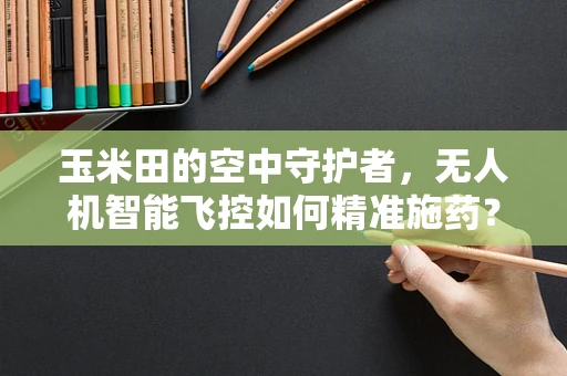 玉米田的空中守护者，无人机智能飞控如何精准施药？