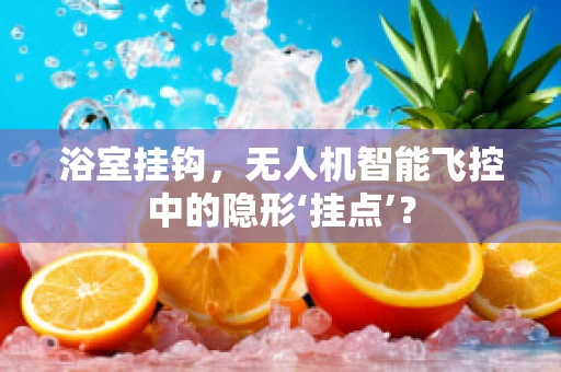 浴室挂钩，无人机智能飞控中的隐形‘挂点’？
