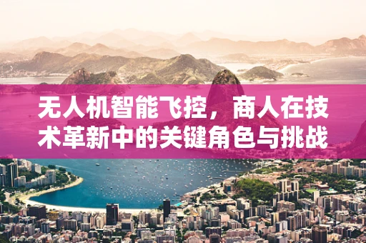 无人机智能飞控，商人在技术革新中的关键角色与挑战？