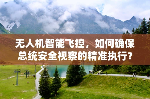 无人机智能飞控，如何确保总统安全视察的精准执行？