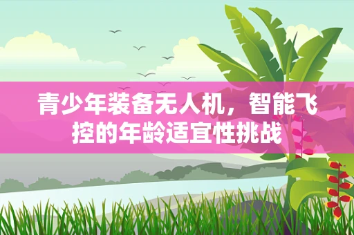 青少年装备无人机，智能飞控的年龄适宜性挑战