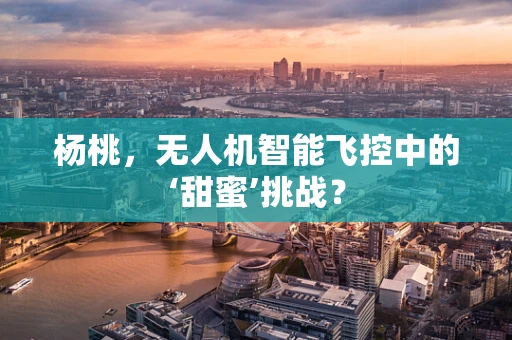 杨桃，无人机智能飞控中的‘甜蜜’挑战？