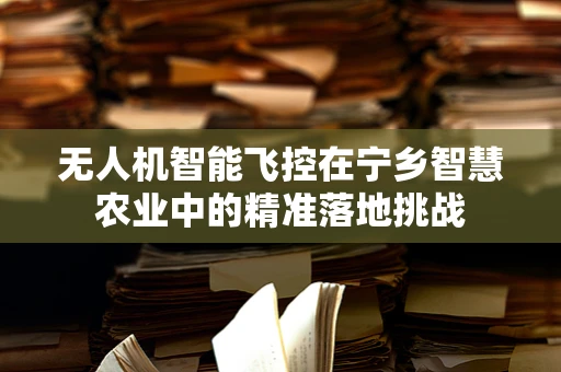 无人机智能飞控在宁乡智慧农业中的精准落地挑战