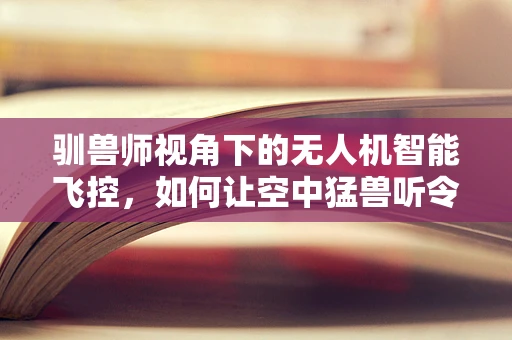驯兽师视角下的无人机智能飞控，如何让空中猛兽听令而行？