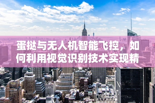 蛋挞与无人机智能飞控，如何利用视觉识别技术实现精准避障？
