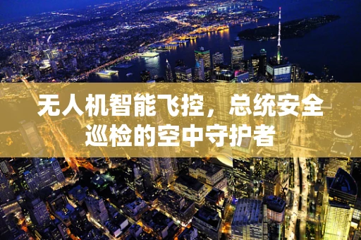 无人机智能飞控，总统安全巡检的空中守护者