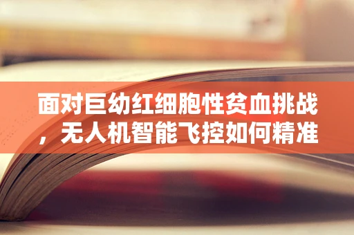 面对巨幼红细胞性贫血挑战，无人机智能飞控如何精准导航？