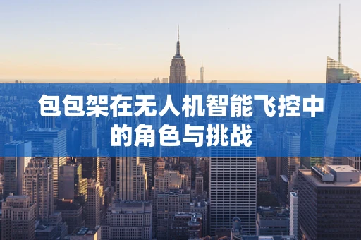 包包架在无人机智能飞控中的角色与挑战
