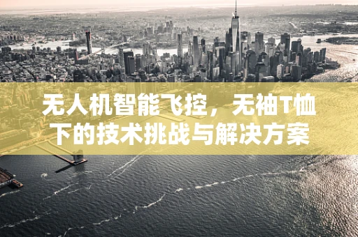 无人机智能飞控，无袖T恤下的技术挑战与解决方案