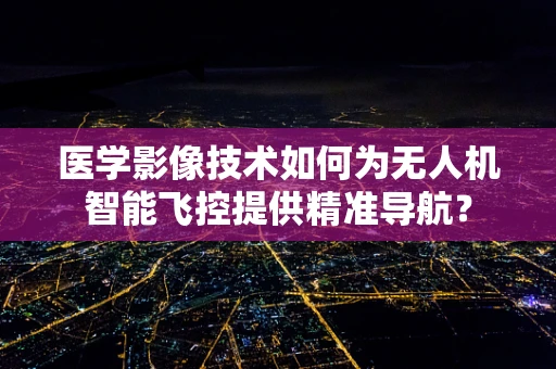 医学影像技术如何为无人机智能飞控提供精准导航？