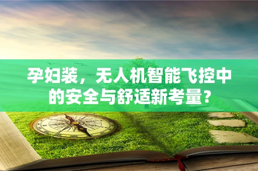 孕妇装，无人机智能飞控中的安全与舒适新考量？