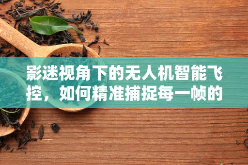 影迷视角下的无人机智能飞控，如何精准捕捉每一帧的壮丽？