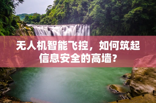 无人机智能飞控，如何筑起信息安全的高墙？