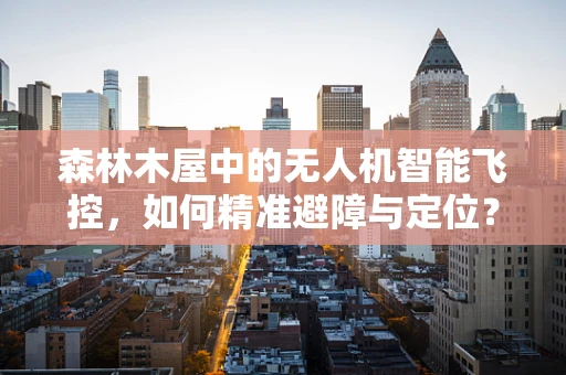 森林木屋中的无人机智能飞控，如何精准避障与定位？
