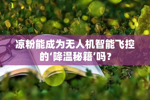 凉粉能成为无人机智能飞控的‘降温秘籍’吗？
