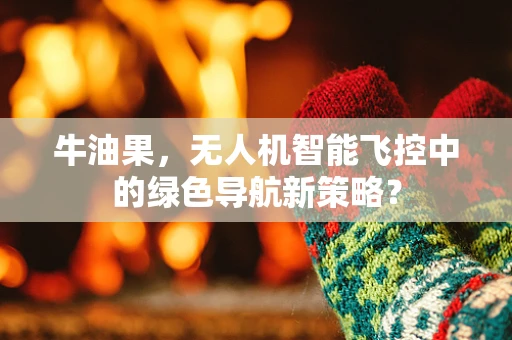 牛油果，无人机智能飞控中的绿色导航新策略？