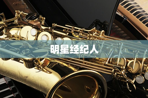 明星经纪人