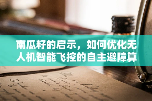 南瓜籽的启示，如何优化无人机智能飞控的自主避障算法？
