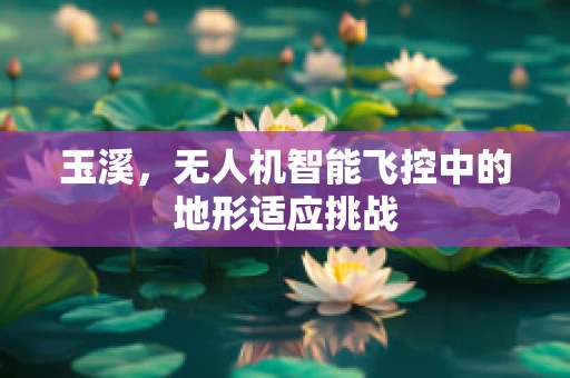 玉溪，无人机智能飞控中的地形适应挑战