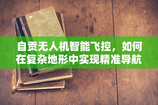 自贡无人机智能飞控，如何在复杂地形中实现精准导航？