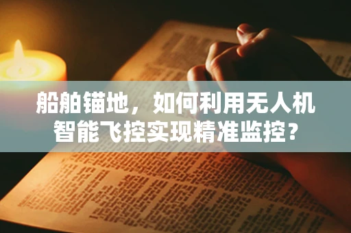 船舶锚地，如何利用无人机智能飞控实现精准监控？