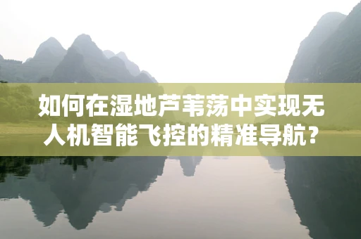 如何在湿地芦苇荡中实现无人机智能飞控的精准导航？