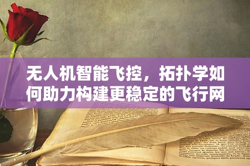 无人机智能飞控，拓扑学如何助力构建更稳定的飞行网络？