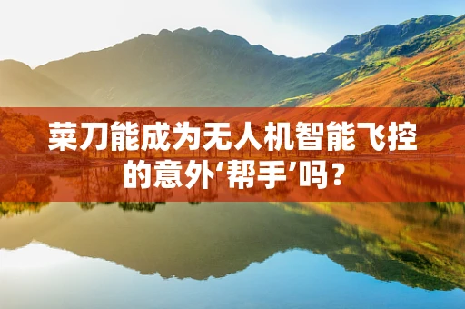 菜刀能成为无人机智能飞控的意外‘帮手’吗？
