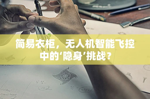 简易衣柜，无人机智能飞控中的‘隐身’挑战？