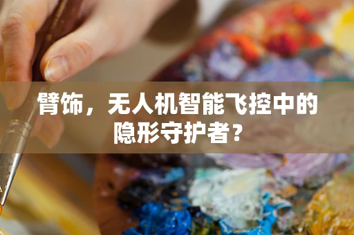 臂饰，无人机智能飞控中的隐形守护者？