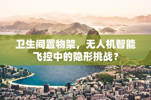 卫生间置物架，无人机智能飞控中的隐形挑战？