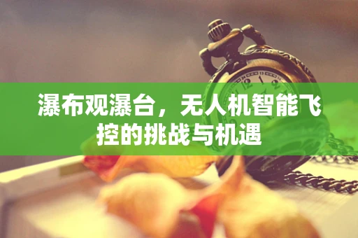 瀑布观瀑台，无人机智能飞控的挑战与机遇