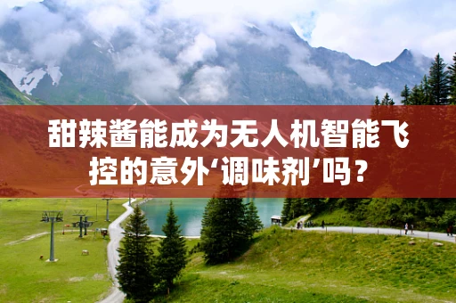甜辣酱能成为无人机智能飞控的意外‘调味剂’吗？