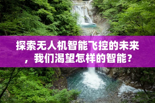 探索无人机智能飞控的未来，我们渴望怎样的智能？