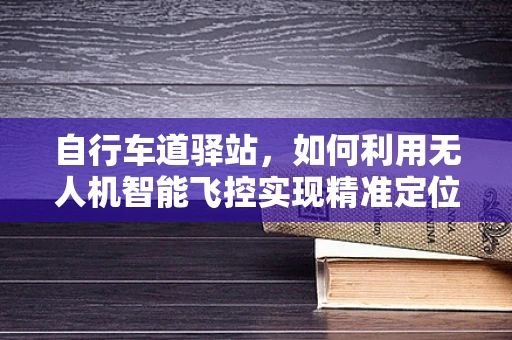 自行车道驿站，如何利用无人机智能飞控实现精准定位与安全监控？