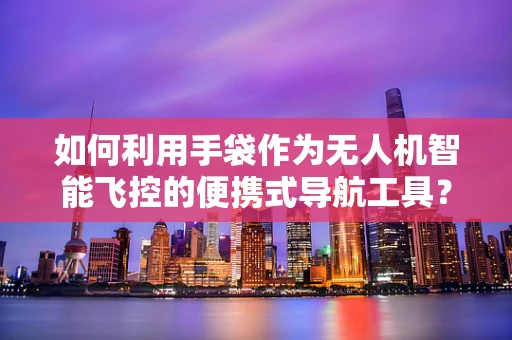 如何利用手袋作为无人机智能飞控的便携式导航工具？