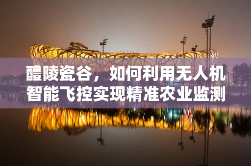 醴陵瓷谷，如何利用无人机智能飞控实现精准农业监测？