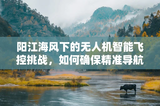 阳江海风下的无人机智能飞控挑战，如何确保精准导航与稳定飞行？