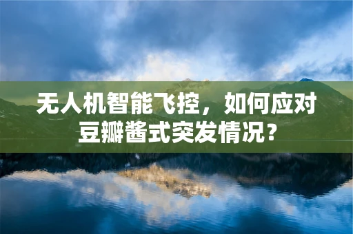 无人机智能飞控，如何应对豆瓣酱式突发情况？